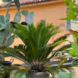 The Jasmine Terrace Retreat Italia